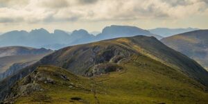用易拉罐打造的创意吊兰盆栽 ， 吊兰的养殖技巧与易拉罐花盆的完美搭配缩略图