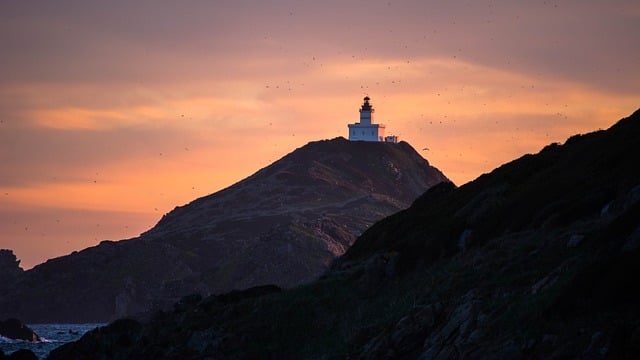 银边吊兰的繁殖方法 , 银边吊兰的繁殖方法插图 银边吊兰的繁殖方法 , 银边吊兰的繁殖方法插图