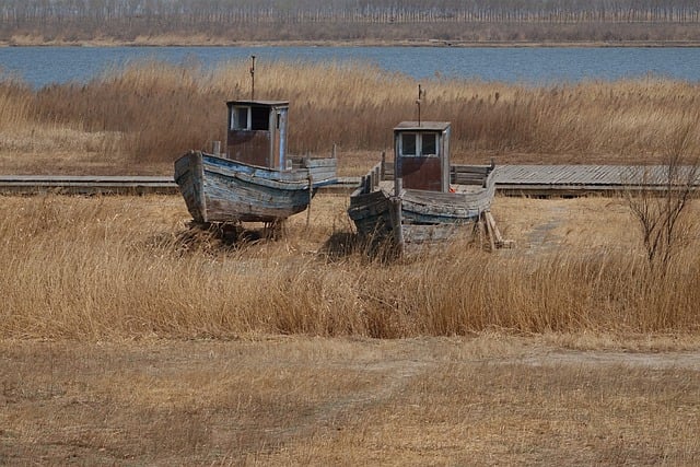 火星花的繁殖方式 , 火星花的繁殖方式插图 火星花的繁殖方式 , 火星花的繁殖方式插图