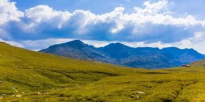 绿萝长寿再皮实，搁这儿养，没3天就不行了！ ， 绿萝养护指南：位置与营养缩略图