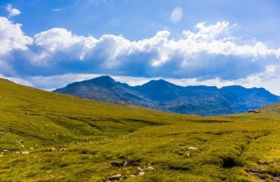 绿萝长寿再皮实，搁这儿养，没3天就不行了！ ， 绿萝养护指南：位置与营养缩略图