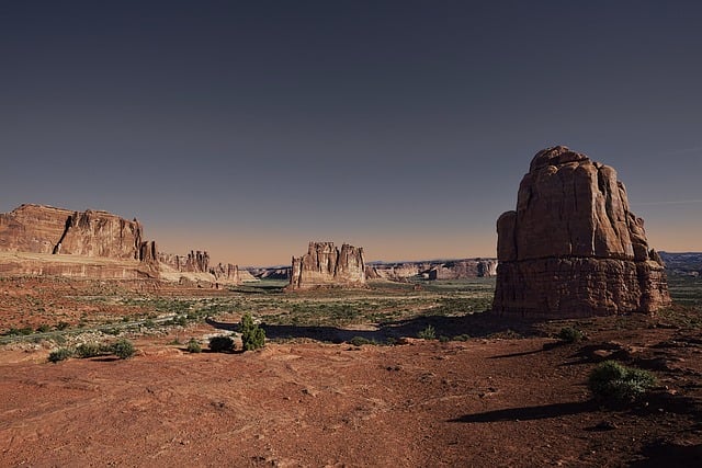 棣棠花的繁殖方法 , 棣棠花:金色花瀑的栽培与欣赏插图 棣棠花的繁殖方法 , 棣棠花:金色花瀑的栽培与欣赏插图