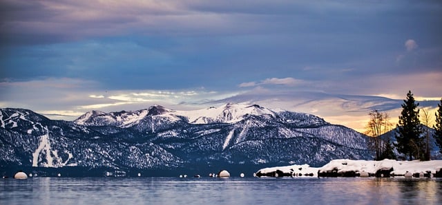 锦带花的修剪 , 锦带花的修剪插图 锦带花的修剪 , 锦带花的修剪插图
