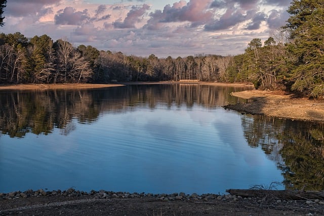 观叶植物冬天如何防寒防冻 , 观叶植物冬季养护指南:让你的绿植安然过冬插图 观叶植物冬天如何防寒防冻 , 观叶植物冬季养护指南:让你的绿植安然过冬插图