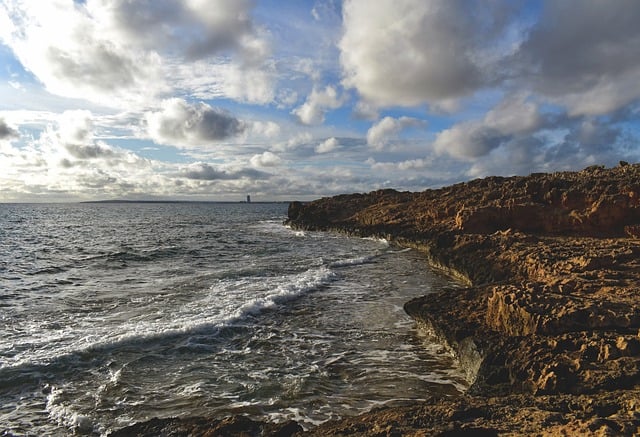 家庭养花的妙招，你知道几个？ ， 家庭养花的常见问题和解决方法插图
