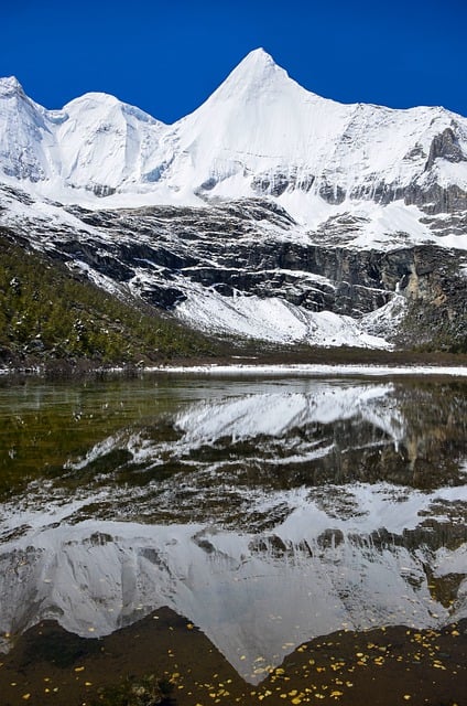 植物不同成长阶段的养护要点 , 影响植物生长的环境因素插图 植物不同成长阶段的养护要点 , 影响植物生长的环境因素插图