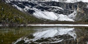 植物不同成长阶段的养护要点 ， 影响植物生长的环境因素缩略图