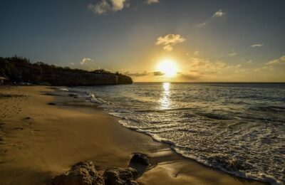 3类有杀菌作用的植物 ， 3类有杀菌作用的植物缩略图