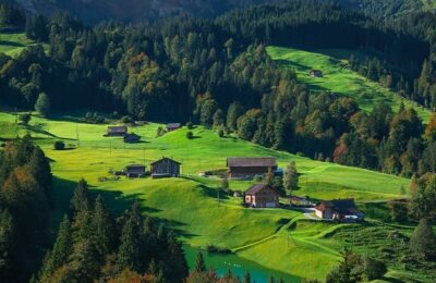 虎头茉莉怎么浇水 ， 虎头茉莉怎么浇水缩略图