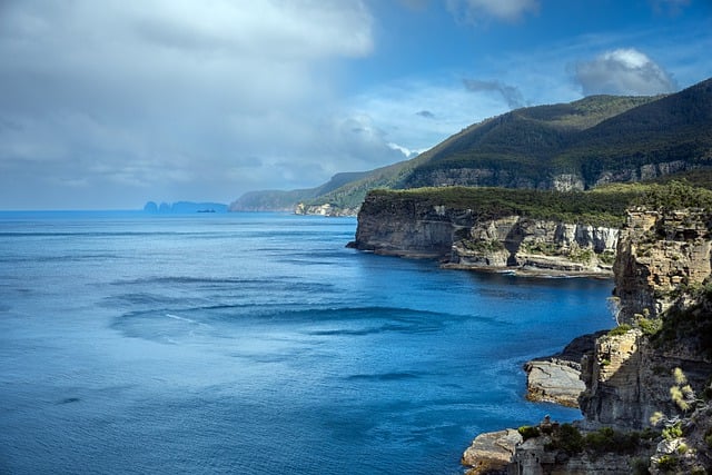 若歌诗的扦插繁殖方法 , 探秘若歌诗:从形态特征到养护技巧插图 若歌诗的扦插繁殖方法 , 探秘若歌诗:从形态特征到养护技巧插图