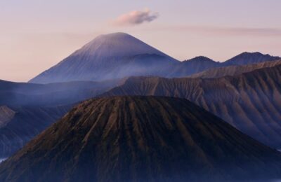 家里的锡纸，剪1刀，秒变养花神器！ ， 锡纸养花：开启奇妙的园艺之旅缩略图