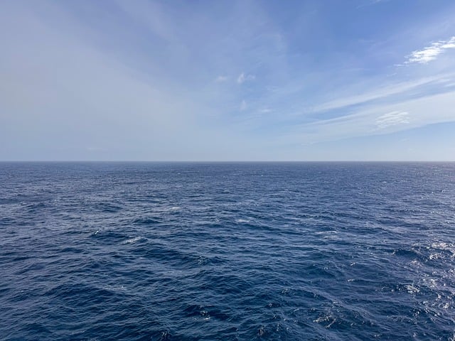 细叶美女樱如何控制花期 , 细叶美女樱的种植与养护插图 细叶美女樱如何控制花期 , 细叶美女樱的种植与养护插图