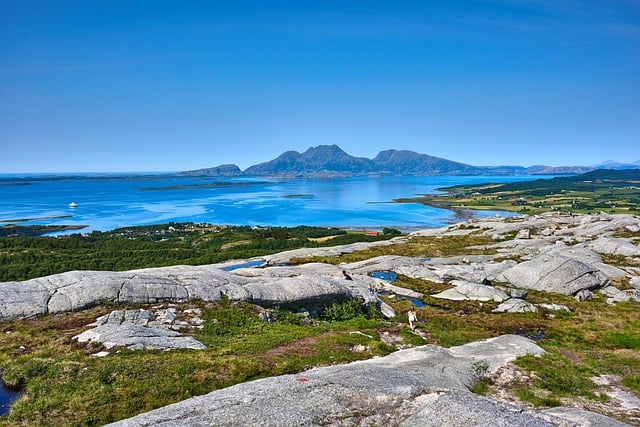 碧玉莲如何度夏 , 碧玉莲如何度夏插图 碧玉莲如何度夏 , 碧玉莲如何度夏插图