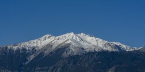 琼花怎么嫁接 ， 琼花：扬州的象征，诗意的化身缩略图