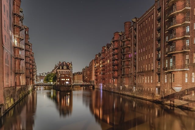 龟背竹怎么养长的快 , 拓展:龟背竹的养护技巧及其他插图 龟背竹怎么养长的快 , 拓展:龟背竹的养护技巧及其他插图