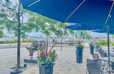 养万年青中毒了怎么办 ， 养万年青中毒了怎么办缩略图