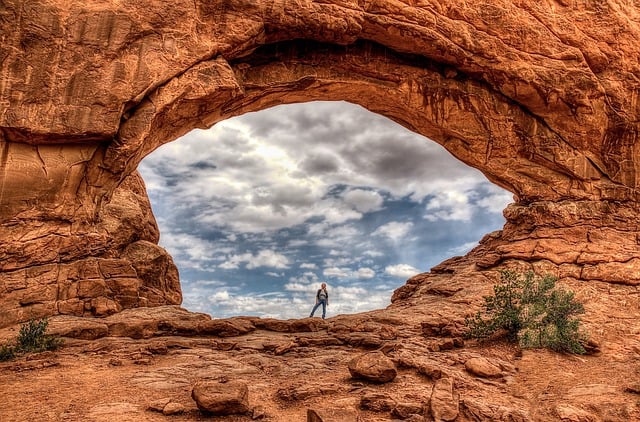 家庭养花不可不知的小常识 , 家庭养花:从新手到绿手指的进阶指南插图 家庭养花不可不知的小常识 , 家庭养花:从新手到绿手指的进阶指南插图