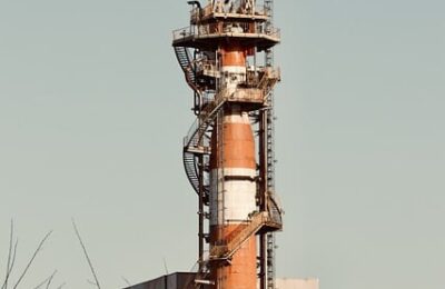 家里养橡皮树有什么好处 ， 橡皮树的养护与品种鉴赏缩略图