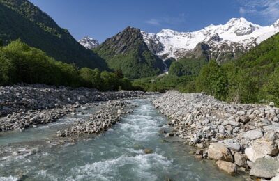影响种子发芽率的原因 ， 探寻种子发芽的奥秘缩略图
