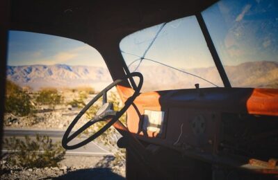 养花人不得不知的15件养花诀窍！ ， 家庭养花：从新手到高手的进阶之路缩略图