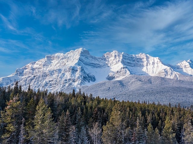 养花施肥小贴士 , 养花施肥小贴士插图 养花施肥小贴士 , 养花施肥小贴士插图