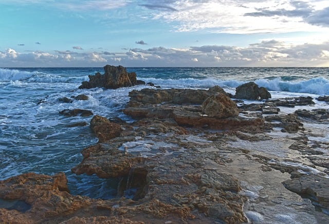 养花“六戒” ， 家庭养花的技巧与注意事项插图