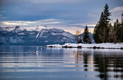 9月,这13种木本花卉最适合扦插，别错过 ， 九月扦插，开启你的园艺之旅缩略图