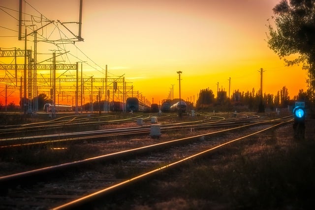 花叶鸭掌木的繁殖方法 , 探秘花叶鸭掌木:从繁殖到养护插图 花叶鸭掌木的繁殖方法 , 探秘花叶鸭掌木:从繁殖到养护插图