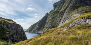 绿萝竟然狂吐水，恭喜你，养了一盆健壮的绿萝！ ， 绿萝吐水的秘密与养护技巧缩略图