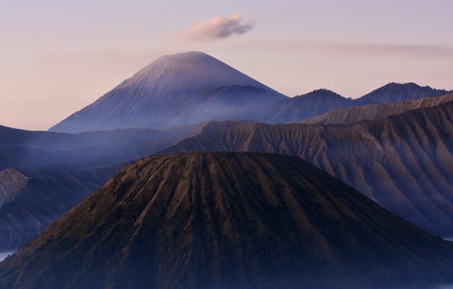 绿宝树怎么修剪 , 绿宝树的养护与欣赏插图 绿宝树怎么修剪 , 绿宝树的养护与欣赏插图