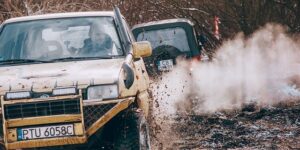 盆栽菊花的养殖方法，盆栽菊花如何安全过冬以及来年开花更旺盛？缩略图