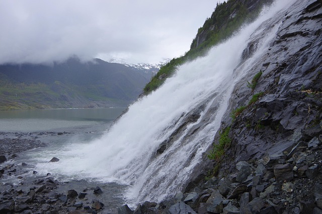 马蹄莲的花语是什么，马蹄莲的象征意义在不同文化中是如何演变的？插图