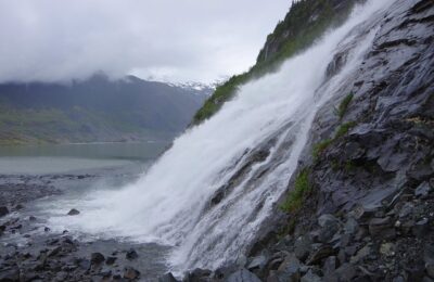 马蹄莲的花语是什么，马蹄莲的象征意义在不同文化中是如何演变的？缩略图