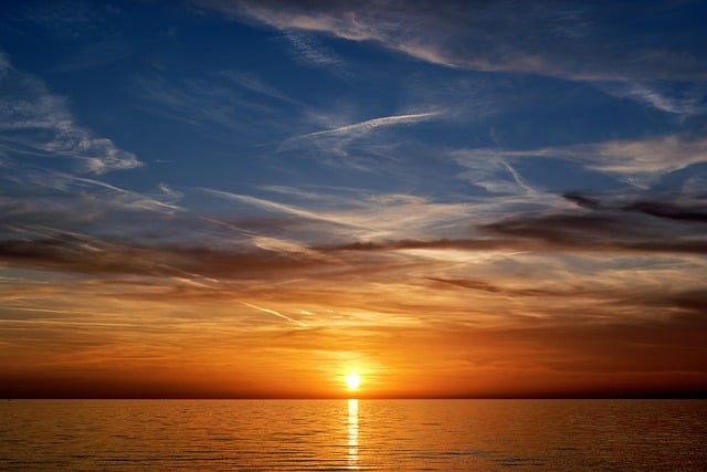 八千代的养殖方法,八千代养殖进阶:如何养出更美的状态?插图 八千代的养殖方法,八千代养殖进阶:如何养出更美的状态?插图