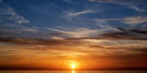 八千代的养殖方法，八千代养殖进阶：如何养出更美的状态？缩略图