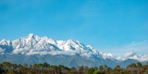 八宝景天怎么养，八宝景天开花后怎么处理？以及如何让它年年爆花？缩略图