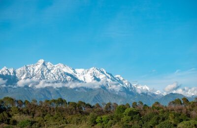 八宝景天怎么养，八宝景天开花后怎么处理？以及如何让它年年爆花？缩略图