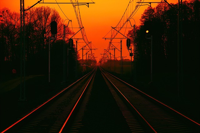 荷花与莲花的区别,荷花与莲花在文化中的象征意义有什么不同?插图 荷花与莲花的区别,荷花与莲花在文化中的象征意义有什么不同?插图