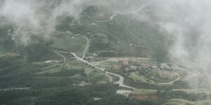 八仙花怎么养，八仙花花色怎么调控？缩略图