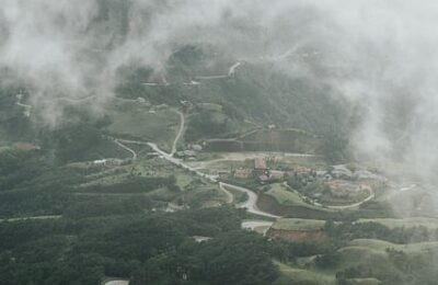 八仙花怎么养，八仙花花色怎么调控？缩略图