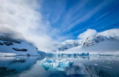 蝴蝶花的繁殖方法及注意事项，蝴蝶花繁殖失败的常见原因及解决方法有哪些？缩略图