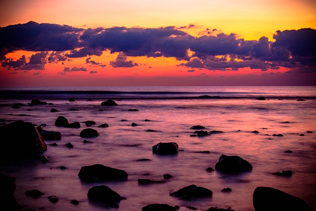 碰碰香发出香味的原因及其作用，碰碰香香味的强度和持续时间受哪些因素影响？以及如何更好地利用碰碰香的特性？插图