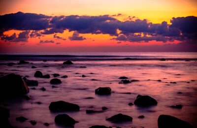 碰碰香发出香味的原因及其作用，碰碰香香味的强度和持续时间受哪些因素影响？以及如何更好地利用碰碰香的特性？缩略图