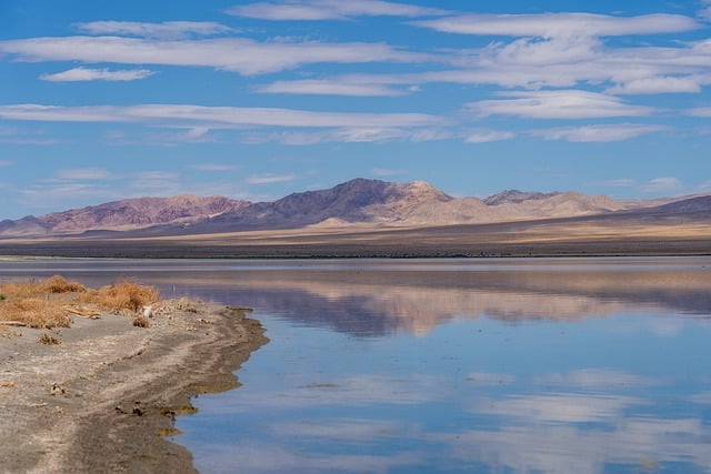 碰碰香的养殖方法，碰碰香的养殖进阶技巧有哪些？插图