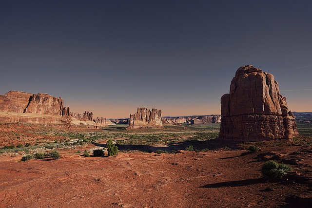 红叶石楠和石楠的区别，红叶石楠和石楠在园林应用中有哪些区别？插图