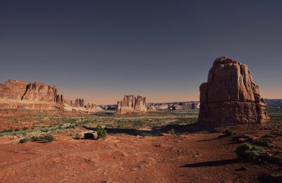 红叶石楠和石楠的区别，红叶石楠和石楠在园林应用中有哪些区别？缩略图