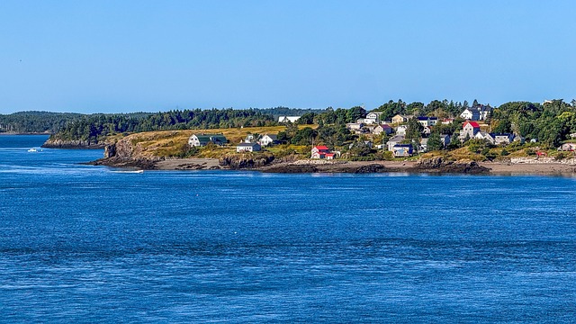 马蹄莲的养殖方法及注意事项，马蹄莲不开花怎么办？以及其他进阶养殖技巧插图