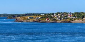 马蹄莲的养殖方法及注意事项，马蹄莲不开花怎么办？以及其他进阶养殖技巧缩略图