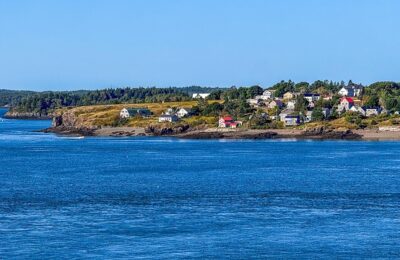 马蹄莲的养殖方法及注意事项，马蹄莲不开花怎么办？以及其他进阶养殖技巧缩略图