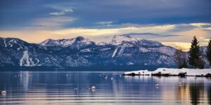 仙人掌的养护方法，仙人掌养护中容易出现的问题及解决方法？缩略图